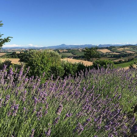 Trecastelli Solea Relais Di Charme- Adults Only旅馆 外观 照片