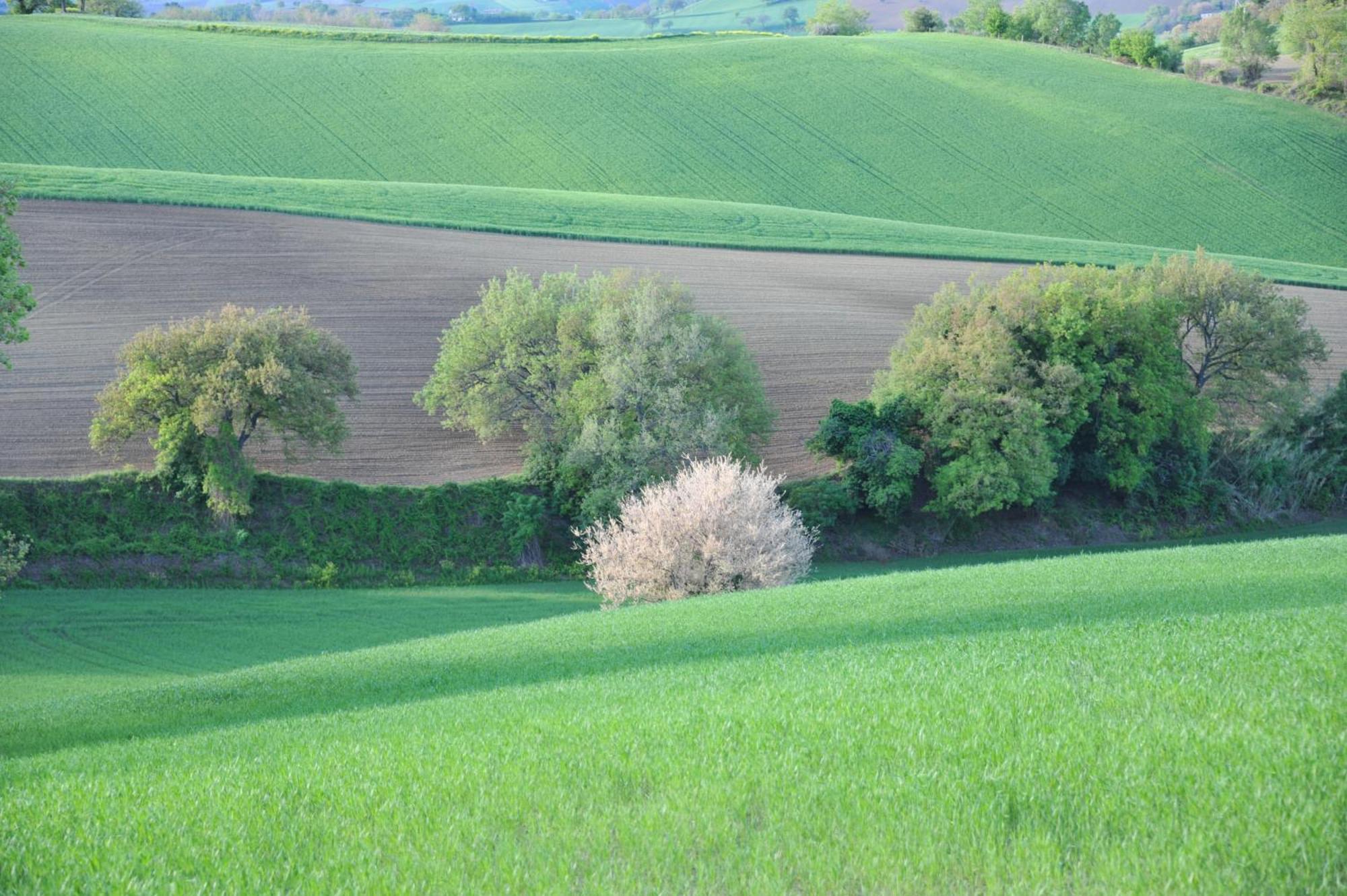 Trecastelli Solea Relais Di Charme- Adults Only旅馆 外观 照片