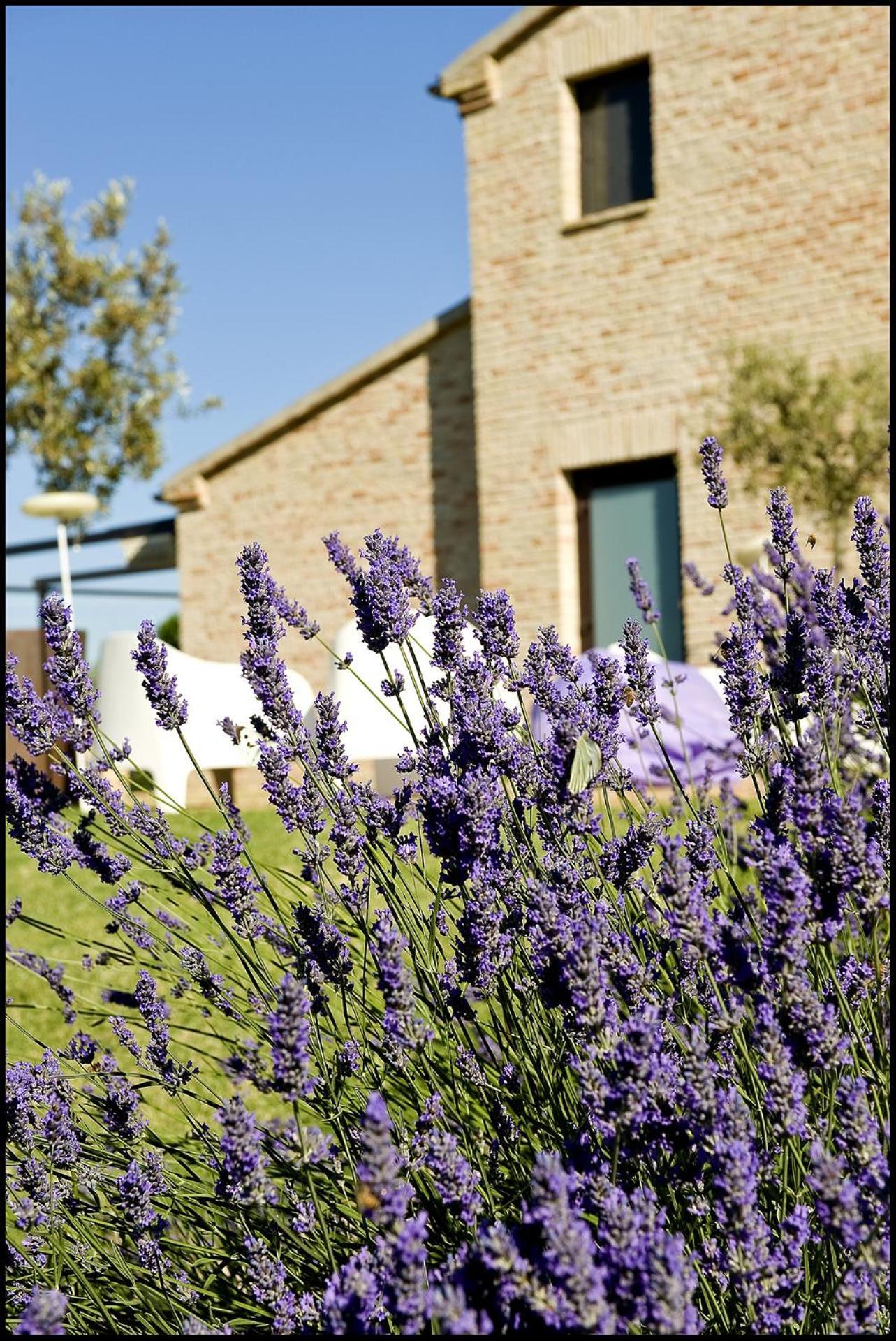 Trecastelli Solea Relais Di Charme- Adults Only旅馆 外观 照片